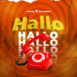 Hallo hallo