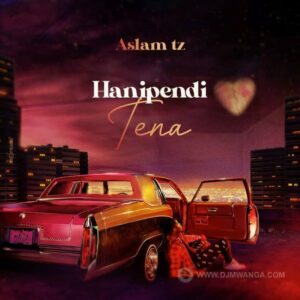 Music Audio : Aslam Tz – Hanipendi Tena