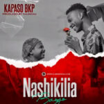 Nashikilia Bango