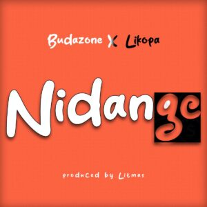 Music Audio : Budazoni X Likopa – Nidange