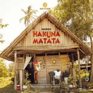 Music Audio : Marioo – Hakuna Matata