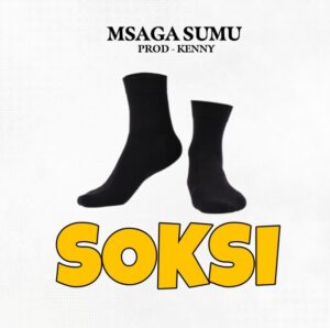 Music Audio : Msaga Sumu – Soksi