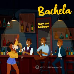 Music Audio : Nay Wa Mitego – Bachela