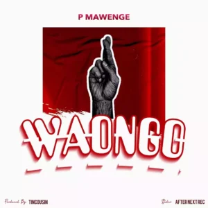 Music Audio : P Mawenge – Waongo