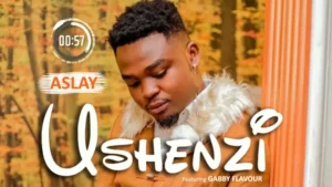 Music Audio : Aslay ft Gabby Flavour – Ushenzi