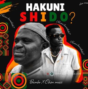 Music Audio : Bambo Ft. Chim music – Hakuni Shido