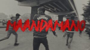 Music Audio : Bien Ft. Breeder LW – Maandamano
