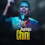 Ninashuka chini