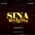 Sina Makosa