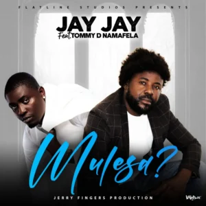 Music Audio : Jay Jay Ft. Tommy D – Mulesa