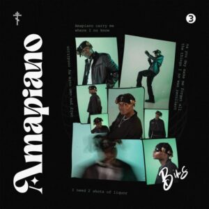 Music Audio : Bims – Amapiano