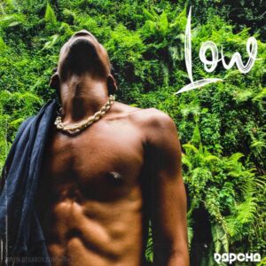Music Audio : Rapcha – Low