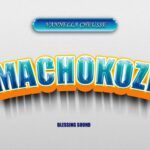 Machokozi