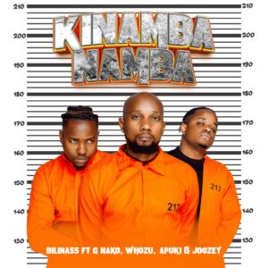 Music Audio : Billnass Ft. Whozu, G Nako, Apuki & DJ Joozey – Kinamba Namba