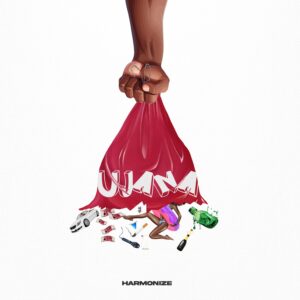 Music Audio : Harmonize – Ujana