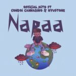 Napaa