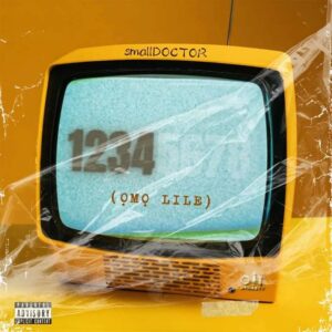 Music Audio : Small Doctor – 1234 (Omo Lile)