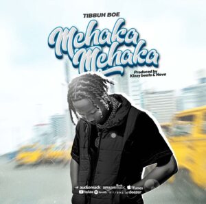 Music Audio : Tibbuh Boe – Mchakamchaka
