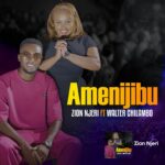 Amenijibu