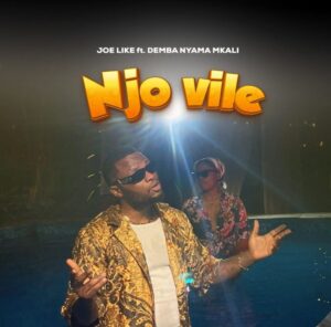 Music Audio : Joe Like Ft Demba Nyama Mkali – Njo Vile