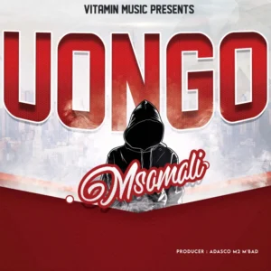 Music Audio : Msomali – Uongo