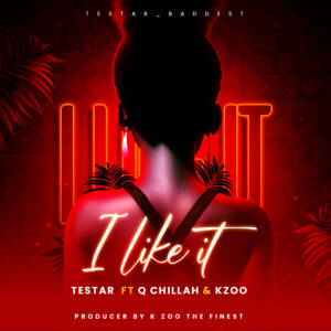 Music Audio : Testa Ft. Qchilla x Kzoo the finest – I like it