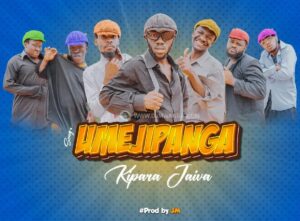 Music Audio : Kipara Jaiva – Umejipanga