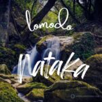 Nataka