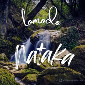 Music Audio : Lomodo – Nataka