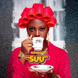 Music Audio : Mrs Energy – Suu