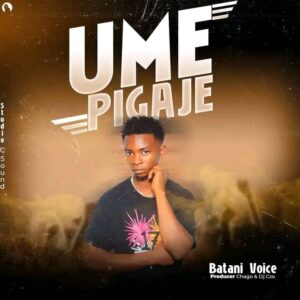 Music Audio : Batani Voice – Umepiga jee