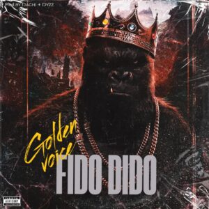 Music Audio : Golden Voice – Fidodido