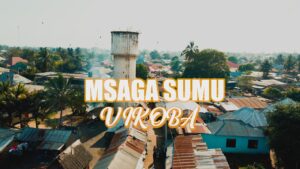 Music Video : Msaga Sumu – Vikoba