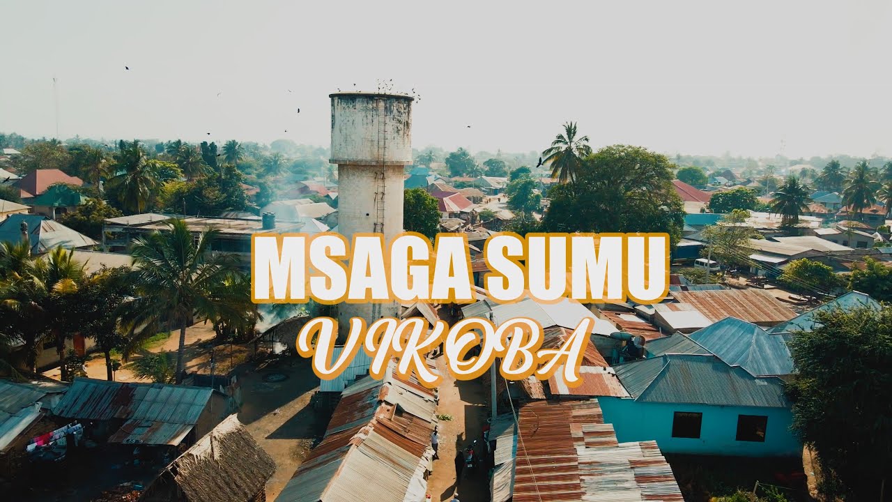 Music Video : Msaga Sumu – Vikoba