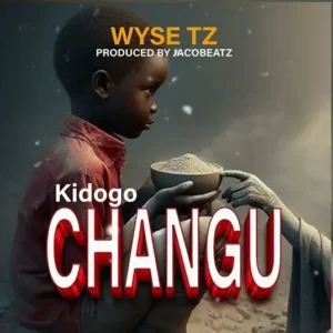 Music Audio : Wyse – Kidogo Changu