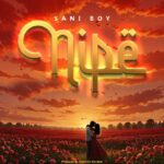 Download Audio | Sani Boy – Nipe