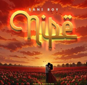 Music Audio : Sani Boy – Nipe