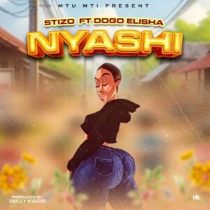 Music Audio : Stizo Ft. Dogo Elisha – Nyashi