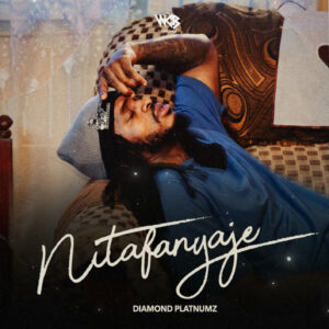 Music Audio : Diamond Platnumz – Nitafanyaje