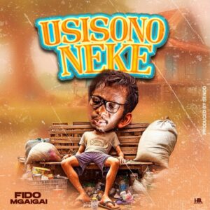 Music Audio : Fido mgaigai – Usisononeke