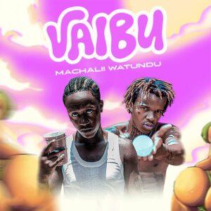 Music Audio : Machalii Watundu – Vaibu