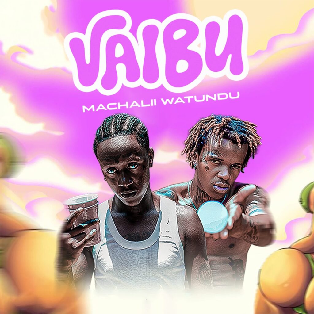 Download Audio | Machalii Watundu – Vaibu