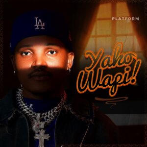 Music Audio : Platform – Yako Wapi