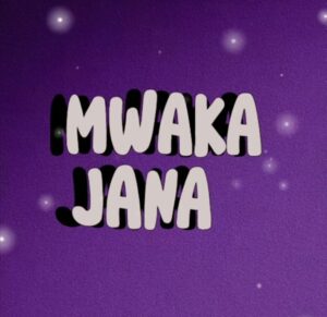 Music Audio : Vax X Mr Nobody Tz – Mwaka jana