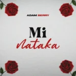 Mi Nataka