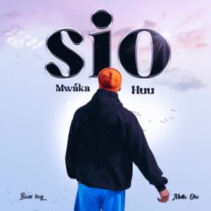 Music Audio : Bam Boy – Sio mwaka huu