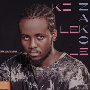 Music Audio : Dflowz Vina – Kelele Zako