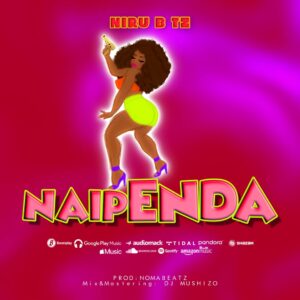 Music Audio : Niru B – Naipenda