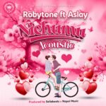 Nichum Acoustic