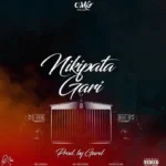 Nikipata Gari